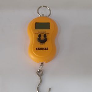 Portable Electronic Scale